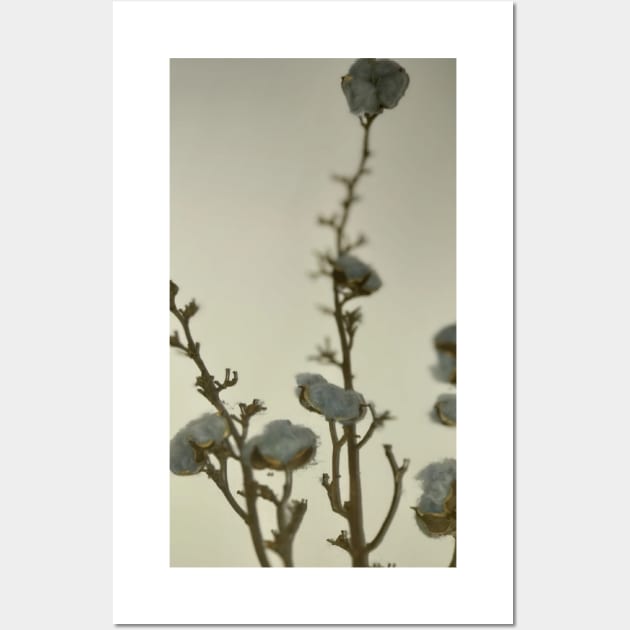 Macro view of natural grey blue cotton balls with three twigs leaning against the white wall  in the corner Wall Art by Khala